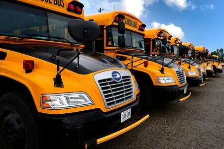 line up of school buses